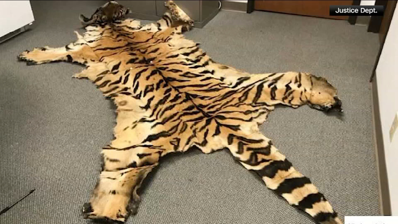 California couple pleads guilty to trafficking wildlife
       — Jenkintown Community news