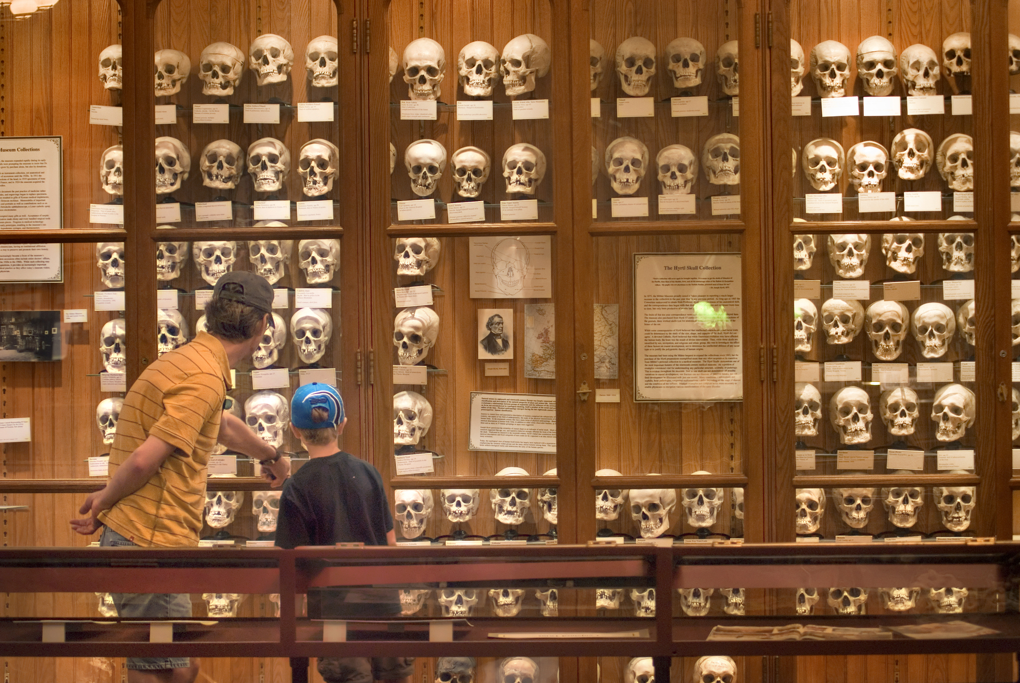Get a Mütter Museum-inspired tattoo at its first Tattoo Flash Day on Nov. 22 — Jenkintown Arts news
